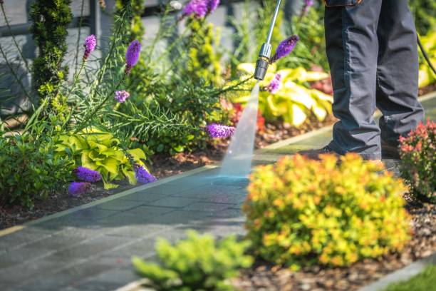 Best Concrete Surface Cleaning in Village Of Four Seasons, MO